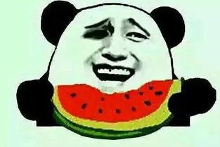 吃瓜群众是不是无脑