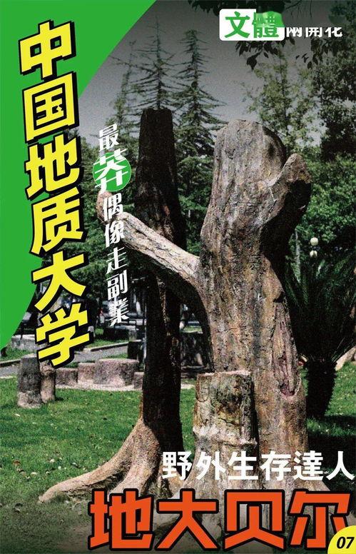 吃瓜文集pdf,揭秘娱乐圈幕后故事