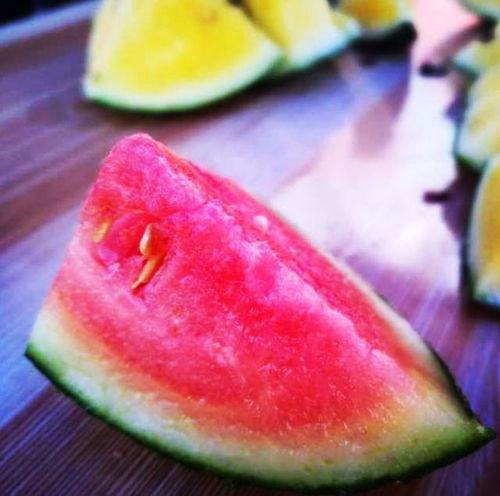 吃瓜山东硕士,揭秘网络舆论背后的真相与反思