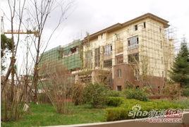 水岸华府吃瓜,吃瓜群众揭秘社区生活点滴