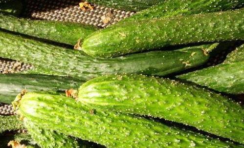 穷吃瓜子富吃瓜,财富变迁的趣味解读