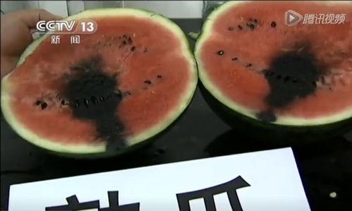 带你吃瓜吃食物视频,带你走进吃瓜吃食物的欢乐世界