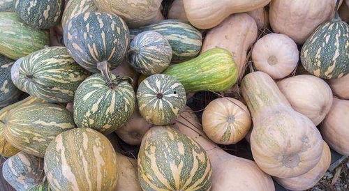 吃瓜吃瓜原创,揭秘娱乐圈那些不为人知的幕后故事