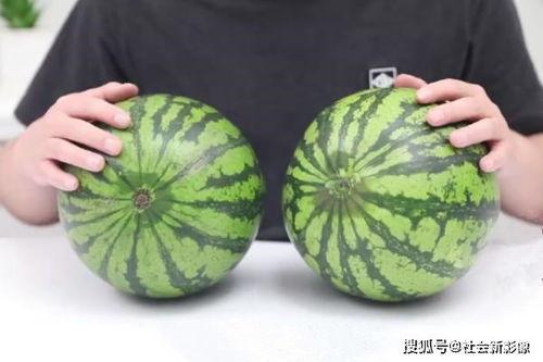 吃瓜吃瓜原创,揭秘娱乐圈那些不为人知的幕后故事