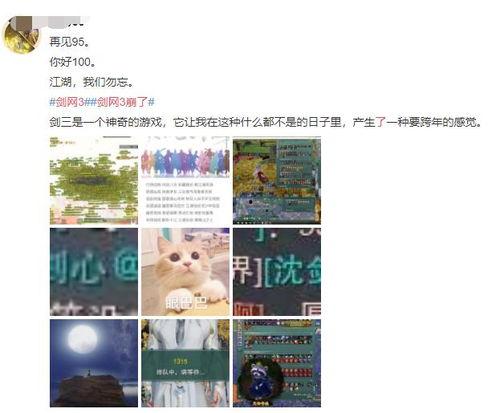 网络热瓜在哪吃,探寻最佳美食聚集地