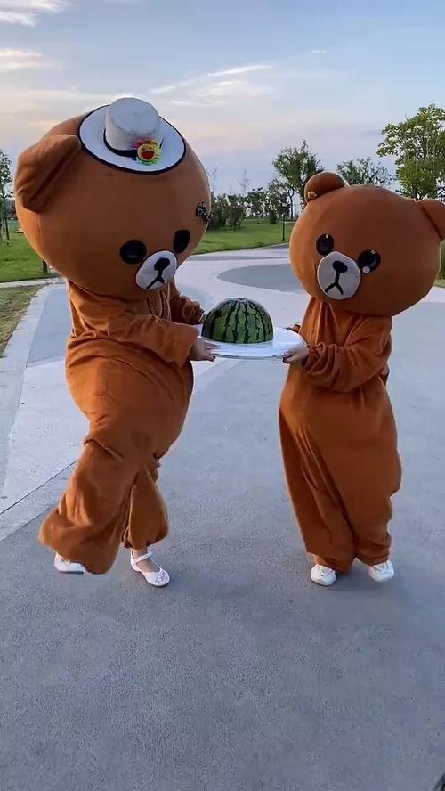 小熊吃瓜相片,夏日清凉瞬间