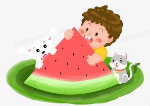 小熊吃瓜相片,夏日清凉瞬间