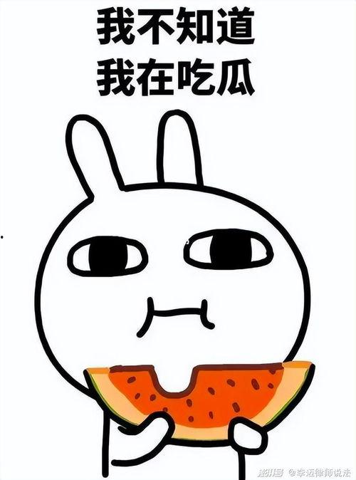 熊哥吃瓜,揭秘娱乐圈那些不为人知的幕后故事