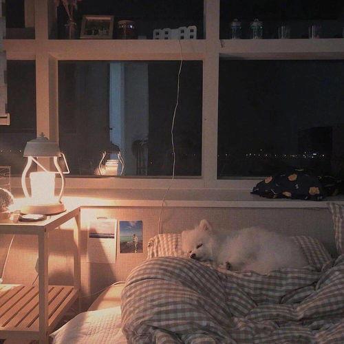 吃瓜很开心文案短句,吃瓜文案短句集锦