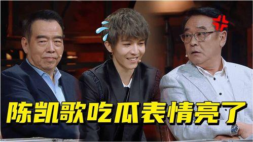 吃瓜脸,网络红人的崛起与现象背后的故事