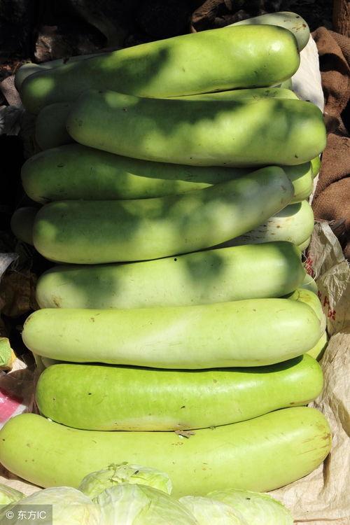 瓠子瓜块怎么吃最好,瓠子瓜块的最佳食用方法揭秘