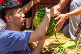 吃瓜电影票,揭秘电影票背后的娱乐秘密