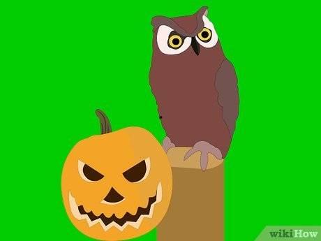 吃瓜的松鼠小说大全,揭秘小说世界中的趣味故事与人物