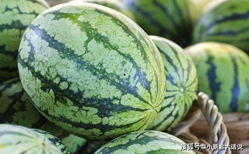 瓜叶过夜可吃吗,瓜叶过夜安全食用指南