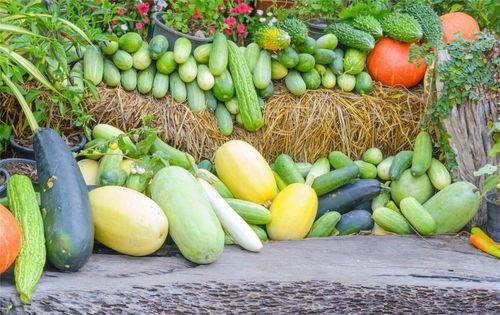 有钱人吃瓜没钱人吃瓜