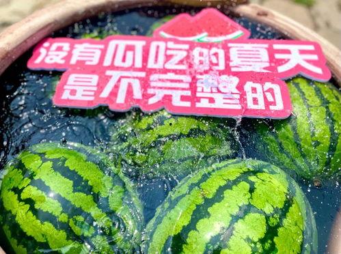 建鹏吃瓜现场,揭秘娱乐圈幕后风云