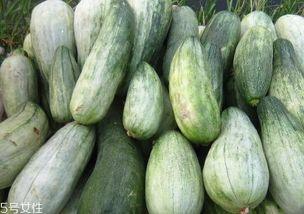 晚上吃酥瓜,一场味蕾与夜晚的邂逅