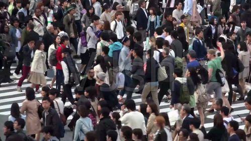 跳河吃瓜看戏,一场现代版“看戏”现象的兴起