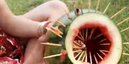 可以吃瓜的玩具,揭秘那些让人垂涎欲滴的“吃瓜”玩具