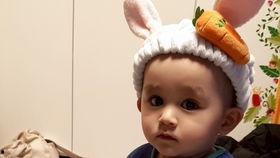 本特利操场吃瓜,一场吃瓜盛宴背后的故事