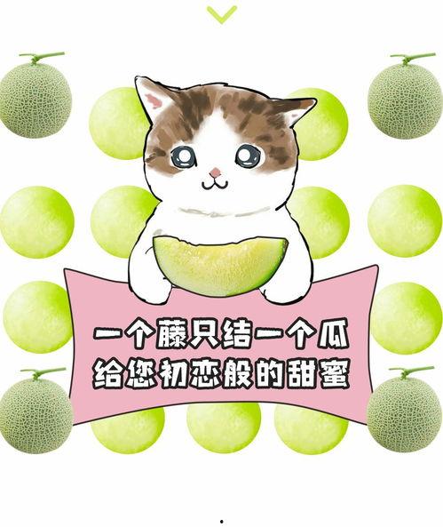 中班吃瓜大赛,吃瓜大赛趣味横生