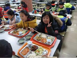 华政事件吃瓜,揭秘校园风云背后的真相与反思