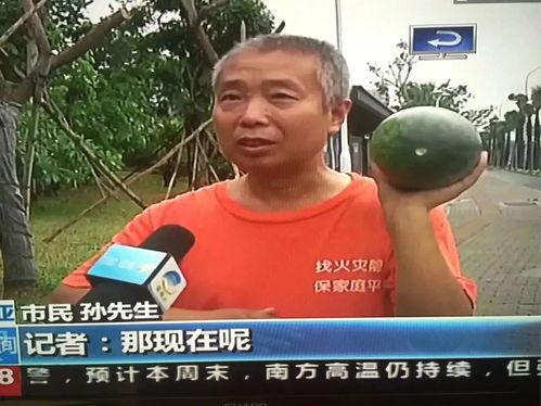 热门事件吃瓜地址,一网打尽全网吃瓜地址