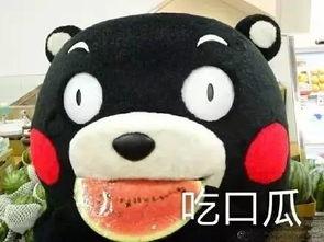 听歌吃瓜聊天,听歌吃瓜聊天乐翻天