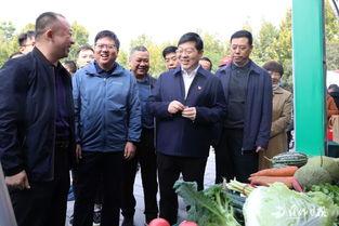 县委书记吃瓜,一场别开生面的乡村治理实践