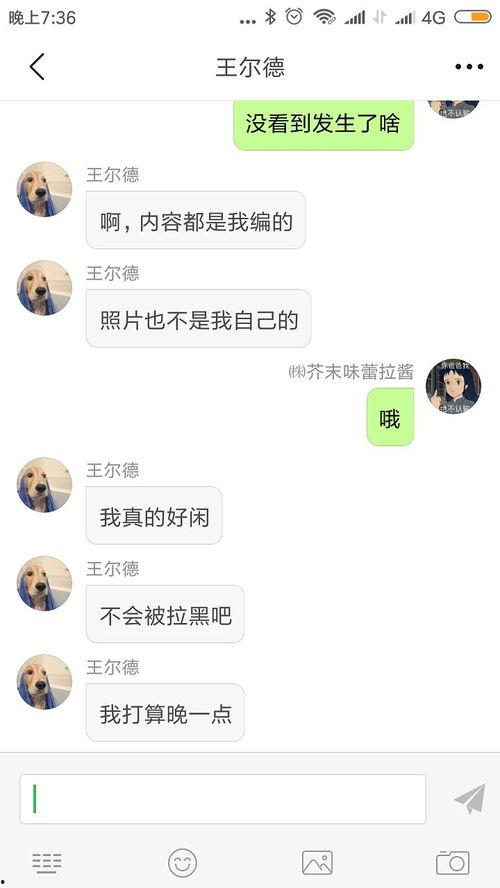 吃瓜兄弟聊天软件下载,下载体验，畅享社交新乐趣