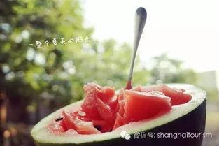 八点吃瓜现场,揭秘娱乐圈最新热点事件