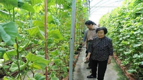 舞台吃瓜事件图片真实