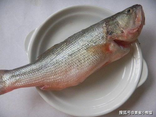 带你吃瓜介绍鱼类,鱼类美食之旅